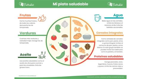 El Plato Saludable En Las Aulas Y En La Consulta De Nutrici N Para