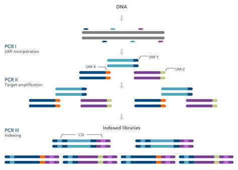 Next Generation Sequencing Xgen™ Predesigned Ngs Amplicon Panels