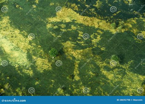 Aerial View of Landscape in South Sudan Stock Photo - Image of scenery ...