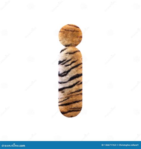 Tiger T Letter Cute Children Animal Alphabet In Vector Funny