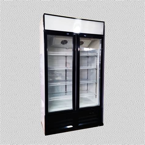 Commercial Double Glass Doors Freezer Showcase Upright Beverage Cooler China Glass Door