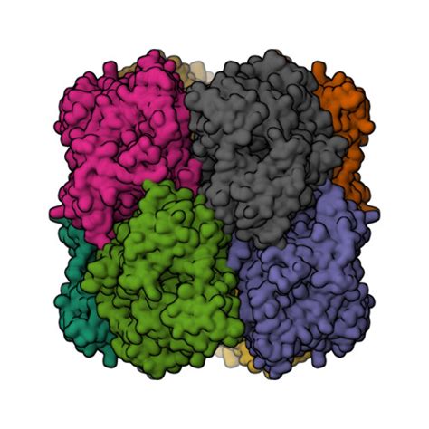 Rcsb Pdb Xqf X Ray Structure Of Human Butyrylcholinesterase