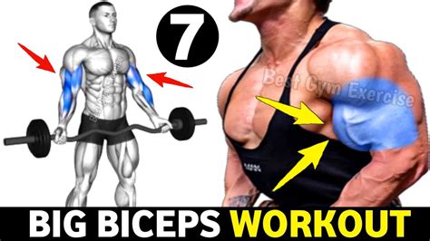 7 Big Perfect Biceps Exercises Bicep Workout Youtube