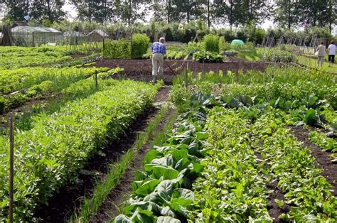 Em In Groentetuin Duurzame Tuinartikelen