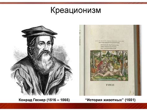 Эволюционная парадигма - презентация онлайн