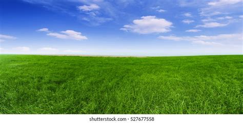 Grassy Scenic Background Stock Photos And Pictures 31 320 Images