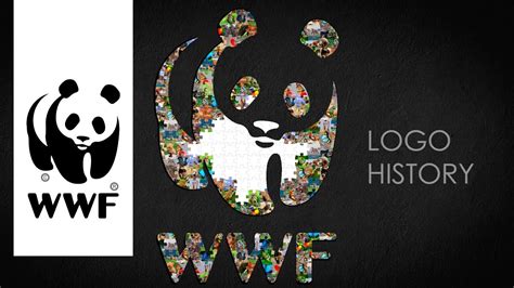 WWF logo, symbol | WWF history and evolution - YouTube