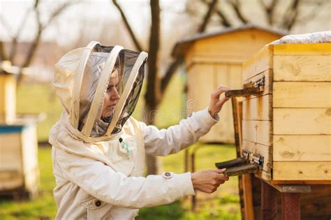 Uma Menina Nova Do Apicultor Est Trabalhando Abelhas E Colmeias No