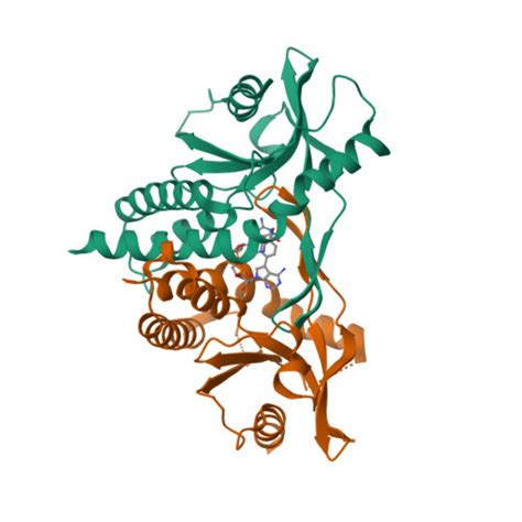 Rcsb Pdb A K Human Sting In Complex With Cyclic Gmp Deaza