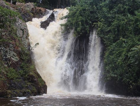 Day Jinja Tour Sezibwa Falls And Mabira Forest Hike Kagera Safaris