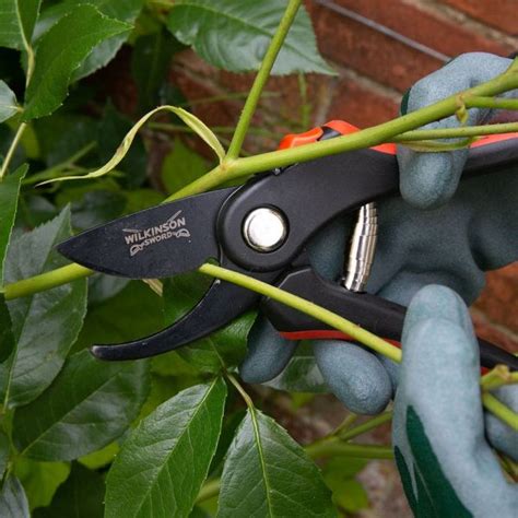 Wilkinson Sword Bypass Pruner Pruning Trimming Squire S Garden