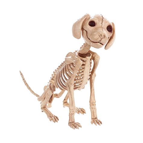 Are Bones Safe For Poodle Puppies