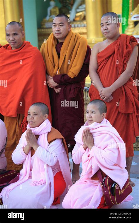 Myanmar Yangon Shwedagon Pagoda Buddhist Monks And Nuns Praying