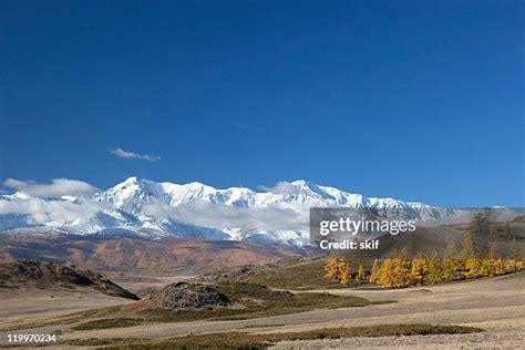 1,365 Russian Steppe Stock Photos, High-Res Pictures, and Images ...