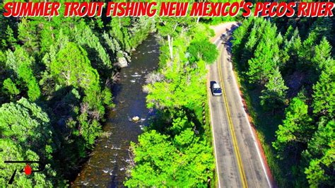 Summer Trout Fishing New Mexico S Pecos River Youtube