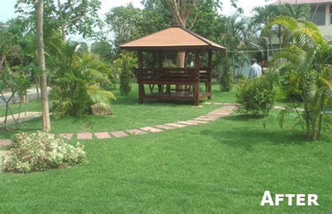 Keeping Healthy Grass In Thailand Thai Garden Design