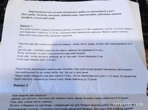 Купити Міцелій 100 грам Білий гриб ялиновий / Боровик, ціна 100 ...