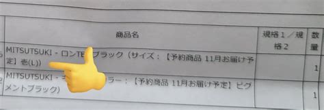 くろますく On Twitter 呪われてるのかな ᐛ 届いたと思ったのに 開けて言葉出なかった