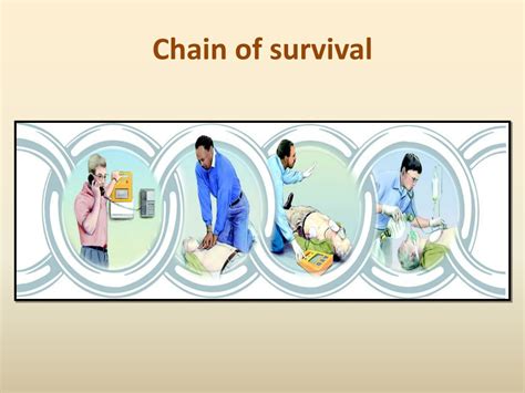 Ppt Basic Life Support Bls Powerpoint Presentation Free Download