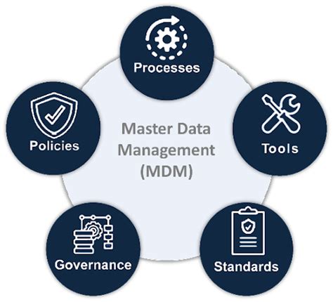 Master Data Management