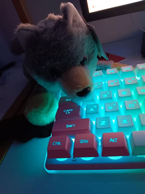 Got a plushie of my theriotype!!! : r/Therian