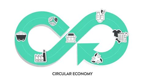 Diagrama Infográfico De Economía Circular 6 Pasos Para Analizar Como