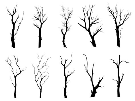 Black Branch Tree Or Naked Trees Silhouettes Hand Drawn Isolated Illustrations 26535888 Vector