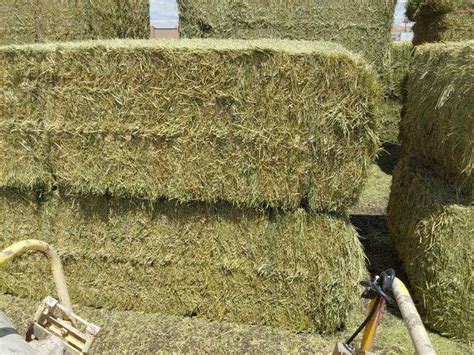 Qty X Bales Of Alfalfa Hay J J Auctioneers Llc