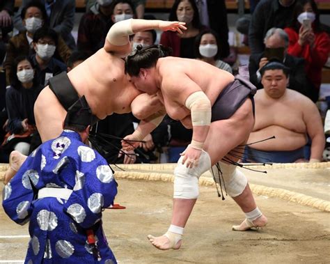 照ノ富士の体は「ずるい」 両膝の回復支えたトレーナーが驚がくした理由スポーツデイリースポーツ Online