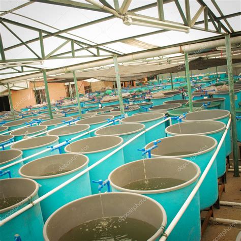 Agriculture Aquaculture Farm Stock Photo By ©panxunbin 7108169