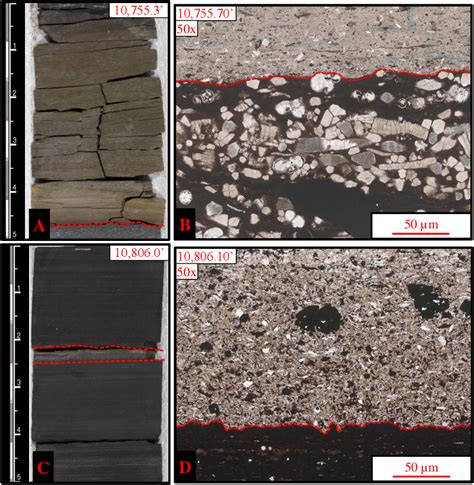 Figure 1 From Integrating Depositional Facies And Sequence Stratigraphy