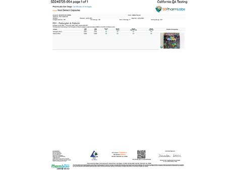 Buy Amanita Muscaria And Legal Magic Mushrooms Online – Non Detect