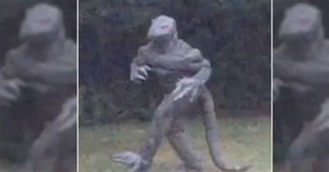 Legendary Lizard Man Reappears In South Carolina CBS News