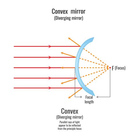 Reflection of light on convex mirror 23452910 Vector Art at Vecteezy