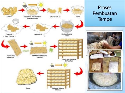 Proses Pembuatan Tempe