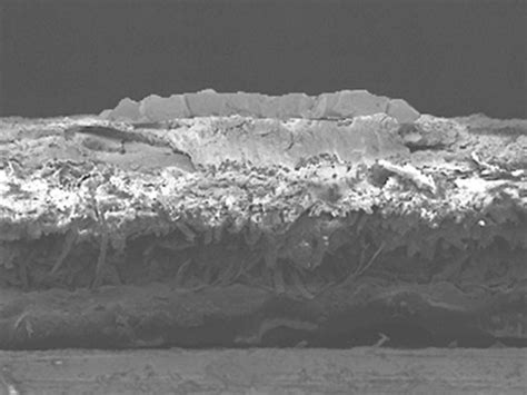 memory cells built  paper ieee spectrum