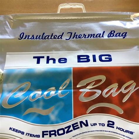 HOW TO MAKE AN INSULATED SNACK BAG — Pam Ash Designs