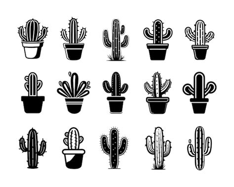 Premium Vector A Set Collection Of Cactus Vector Illustrations