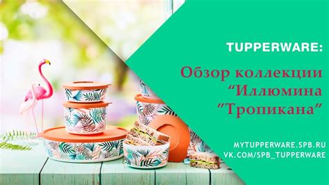 Tupperware: Обзор коллекции "Иллюмина "Тропикана" - YouTube