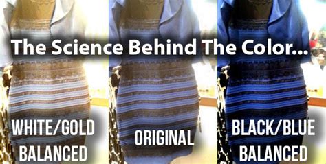 The Science Behind The Color Why No One Can Agree About This Dress