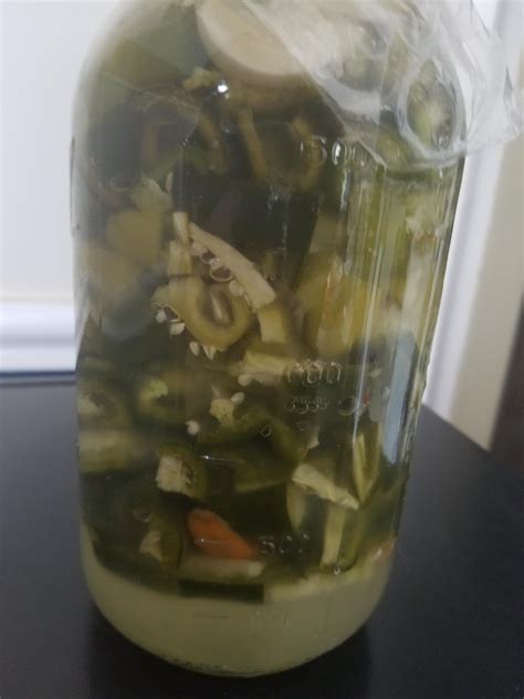 Hot Sauce Attempt R Fermentation