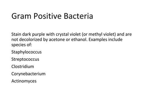 SARA GRAM STAIN PPT PPT