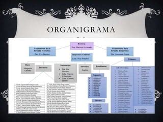 Presentacion De Los Diagramas Factura Y Organigrama PPT