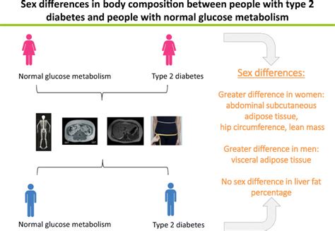 Sex Differences In Body Composition In People With Prediabetes And Type