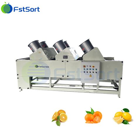 High Quality Industrial Fruit Processing Machines Mandarin For Small