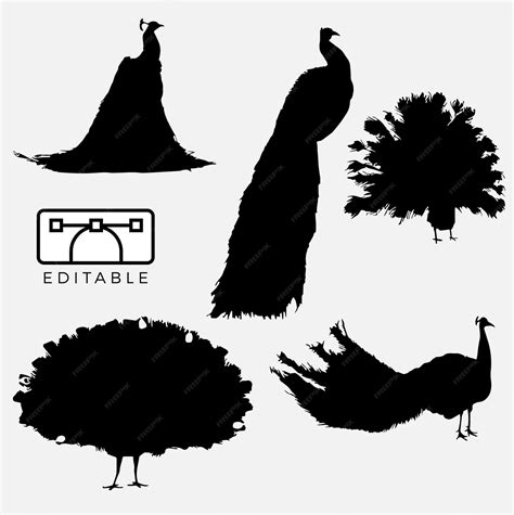 Premium Vector | Vector silhouette peacock feather design black