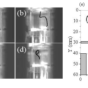 Typical Trajectories Of Dust Particles With Radius Of Mm In