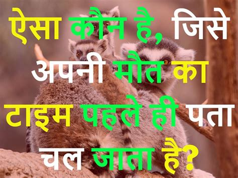 Gk Quiz Which Animal Knows In Advance The Time Of Its Death Quiz ऐसा