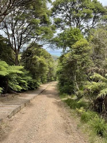 Best Camping Trails in Waiheke Island | AllTrails