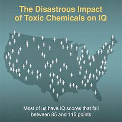 Fapell Brain Drain Is Your Child Losing Iq Points Find Out Now